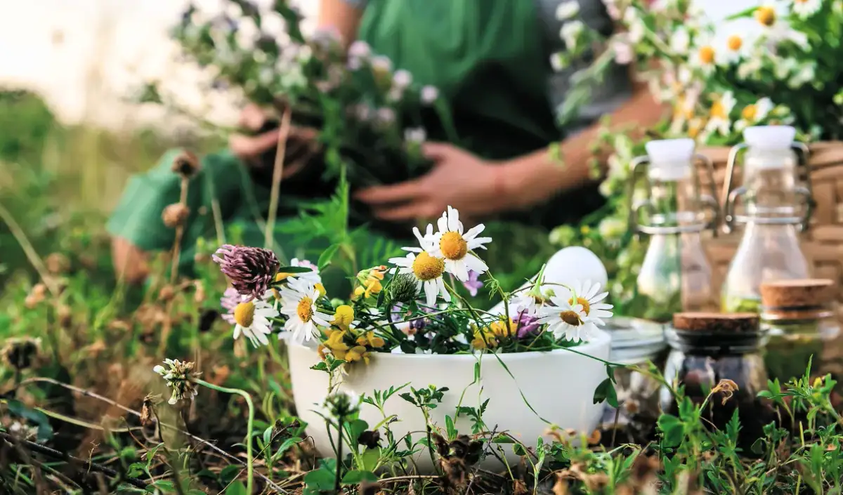 Menopauza: Zioła, które naprawdę działają! Naturalne wsparcie