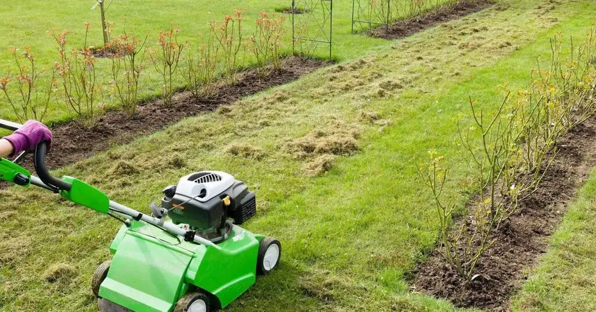Czy można siać trawę razem z nawozem? Oto najważniejsze informacje