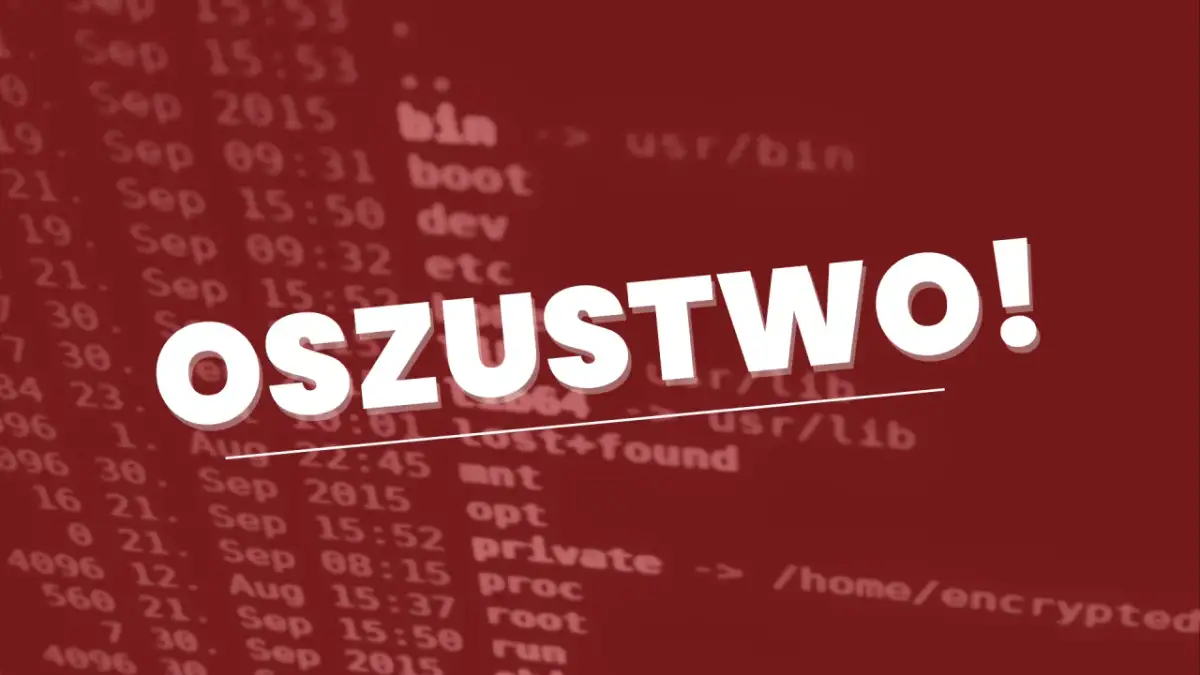 Ile kosztuje domena? Nie daj się nabrać na 1 zł!