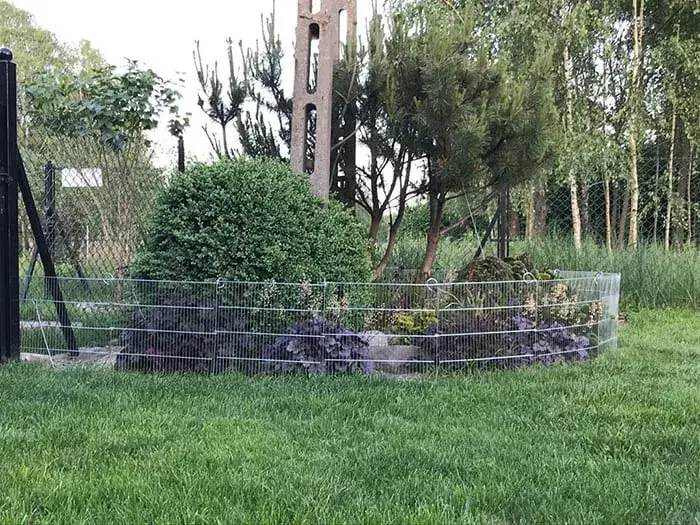 Skuteczne sposoby na ogrodzenie ogródka warzywnego przed psem