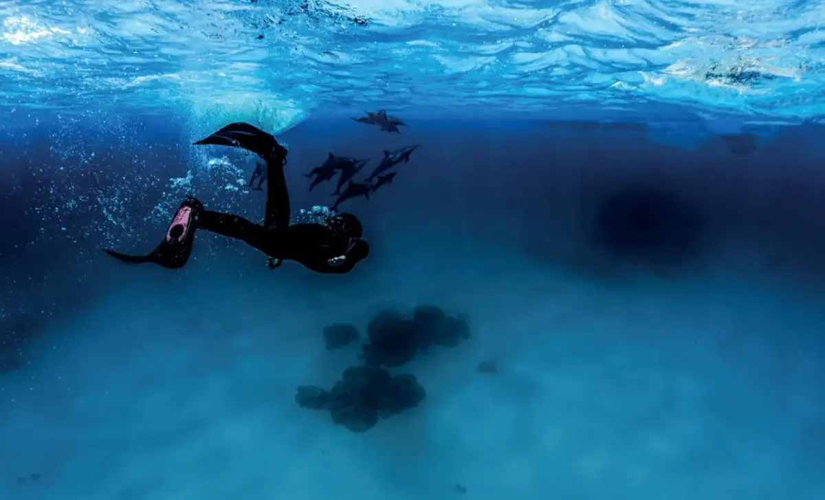 Pływanie z delfinami w Europie: Jak spełnić marzenie etycznie?