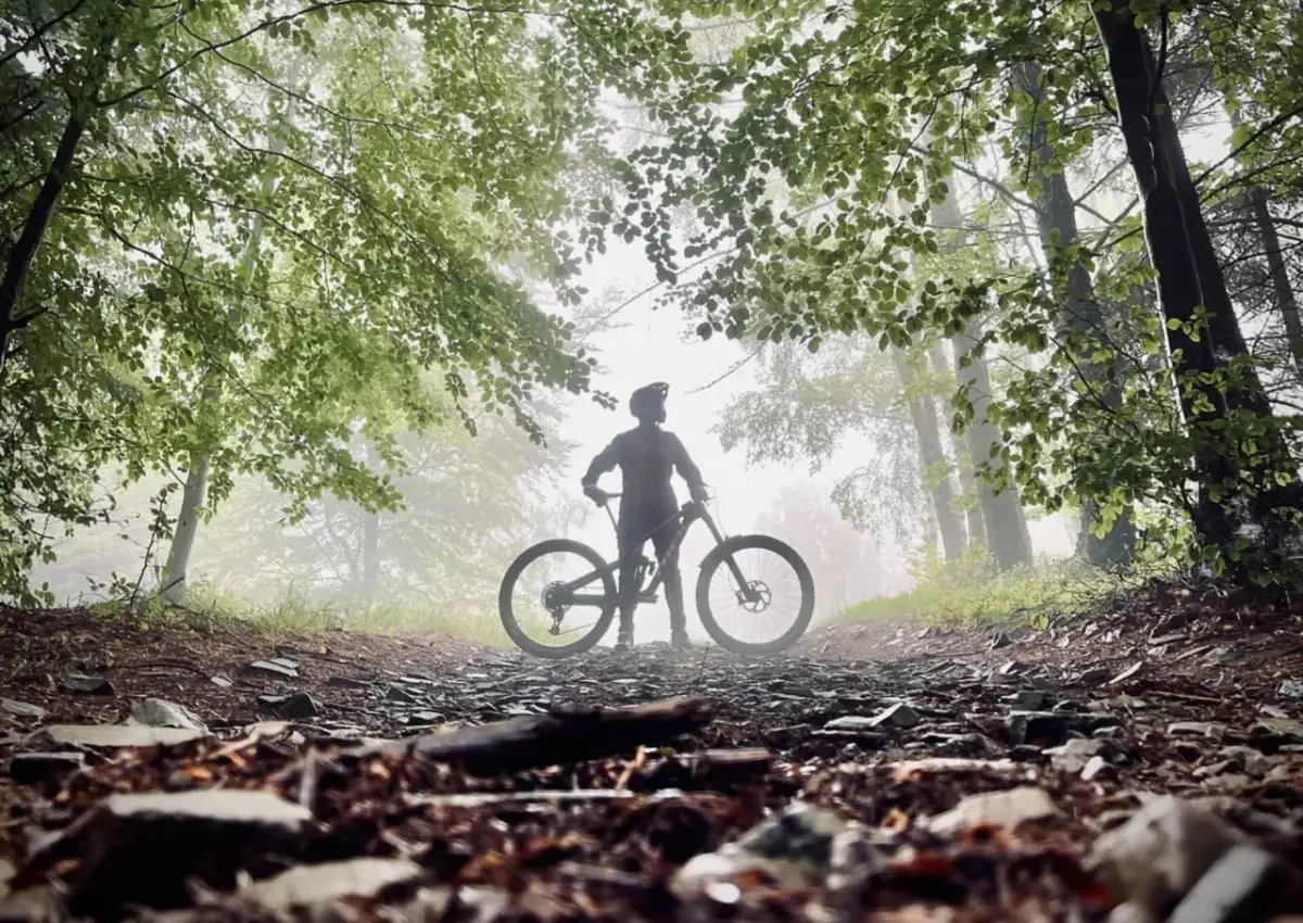 Jaki rower na asfalt i las: wybierz idealny model do każdej trasy