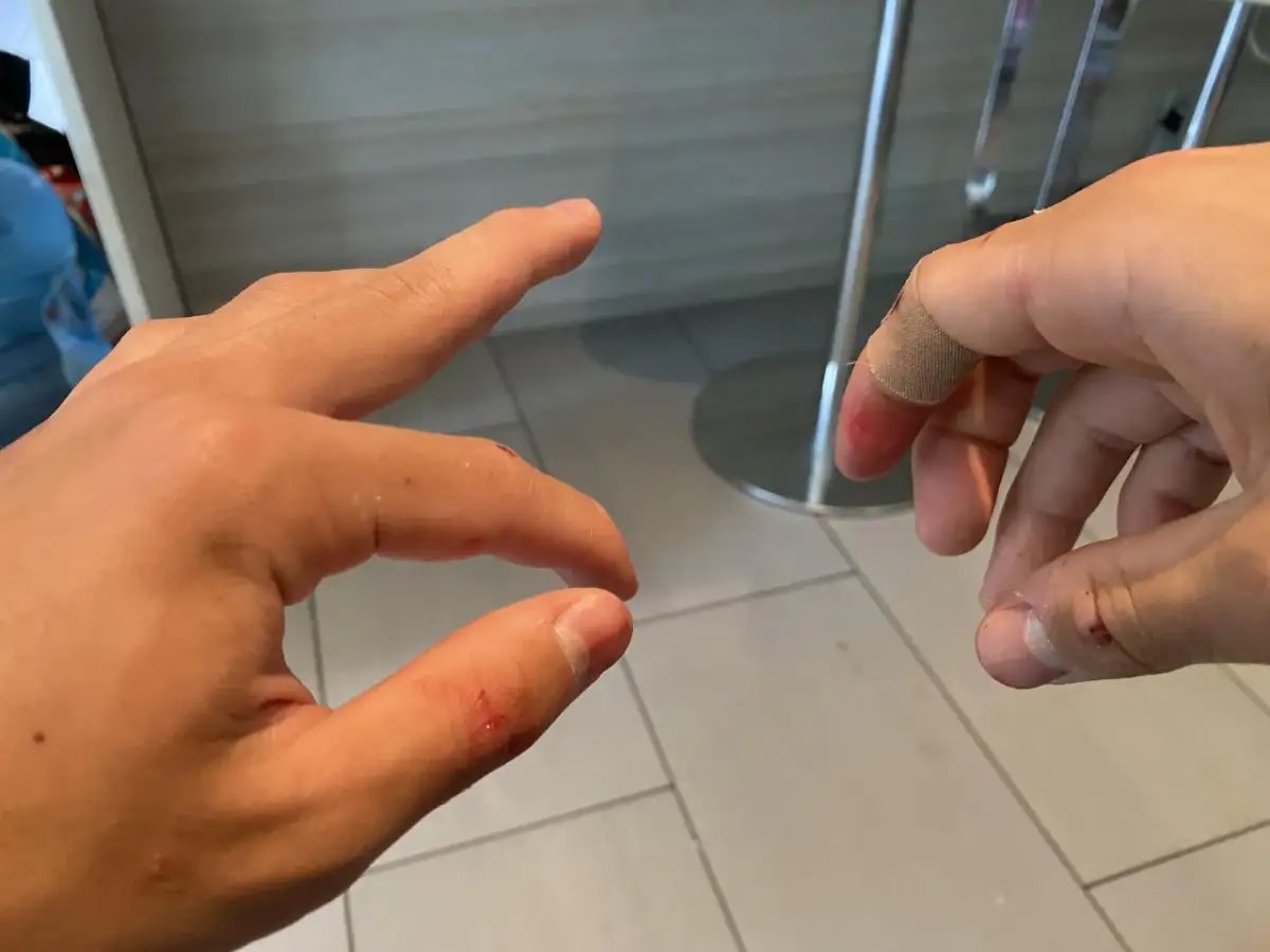 Papuga gryzie? Odkryj przyczyny i oducz ją bez kar!