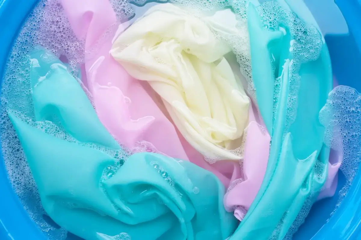 Wróbel w domu lub we śnie: Sennik, przesądy i co naprawdę oznacza?