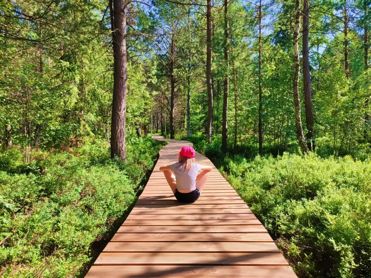 Gdzie w Bieszczady z dzieckiem? Odkryj najlepsze atrakcje rodzinne
