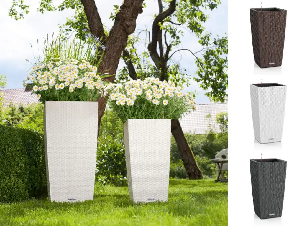 Co na taras do donic: rośliny, które ożywią Twoją przestrzeń