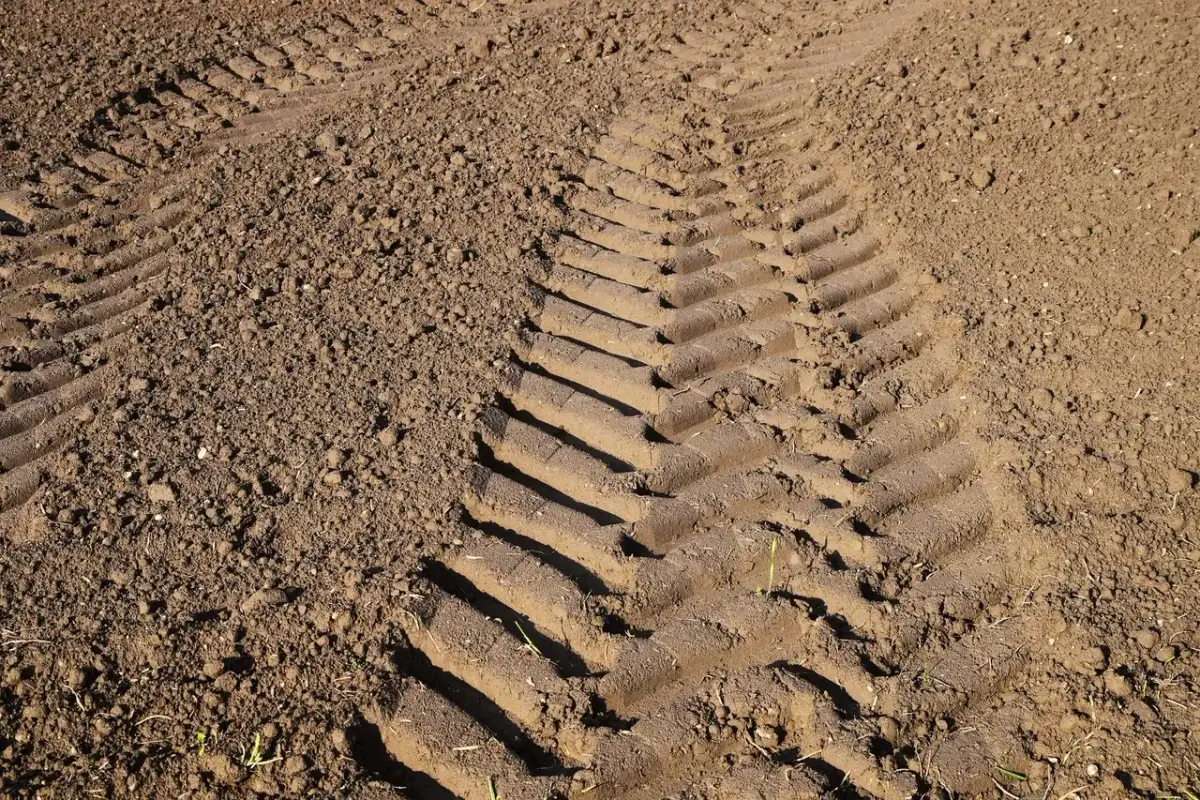 Ile zwrotu za nawozy? Sprawdź, co się zmieniło w dopłatach
