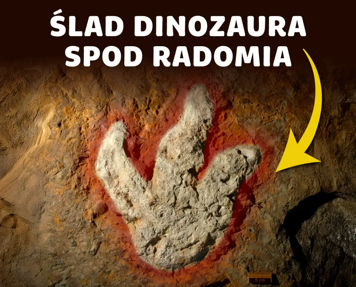 Jakie dinozaury żyły na terenie Polski? Fascynujące odkrycia i gatunki