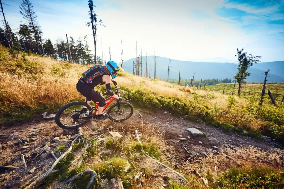 Odkryj rowerowy raj: Świeradów-Zdrój trasy, singletracki, gondola