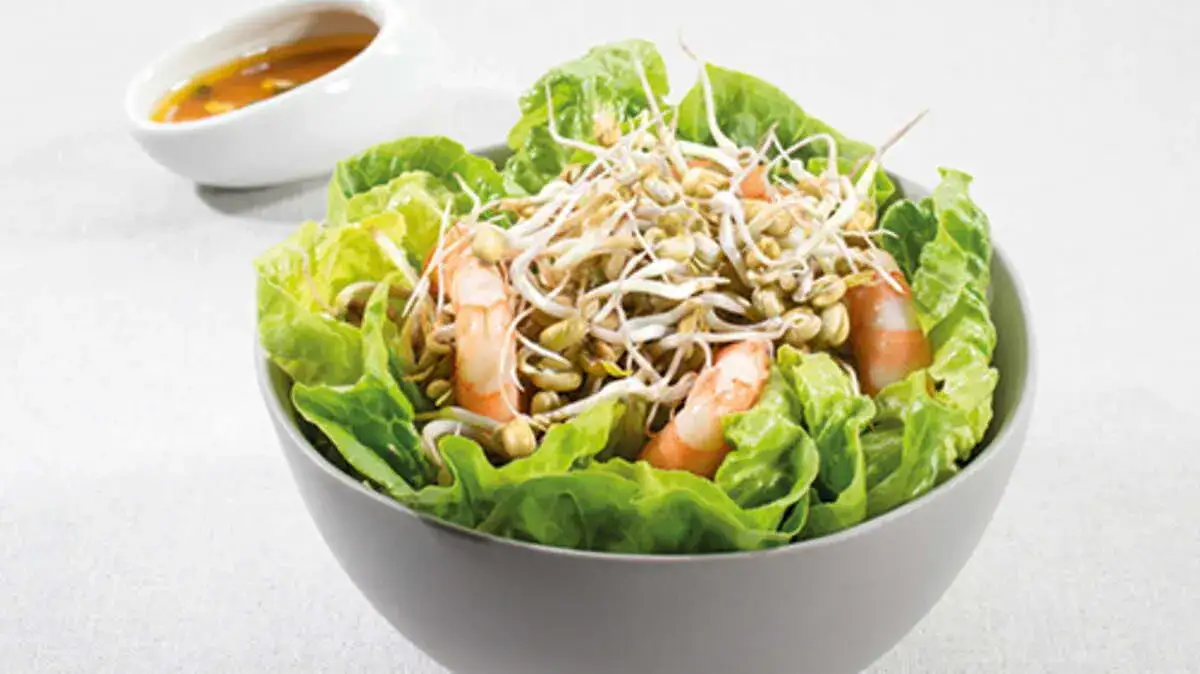 Sublimez vos salades : recettes faciles de pousses de haricot mungo