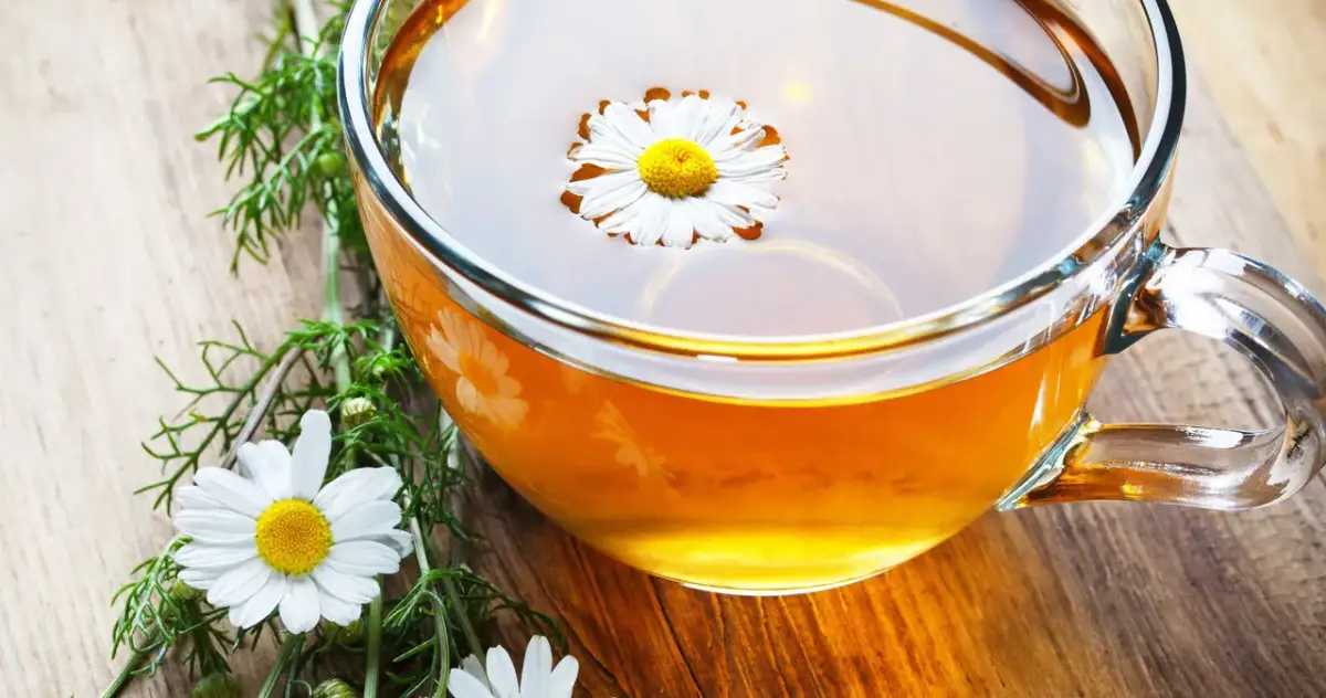 Jak często pić herbatę rumiankową, aby cieszyć się zdrowiem?