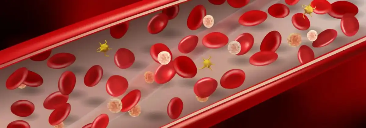 Podwyższony poziom czerwonych krwinek: objawy, przyczyny i ryzyko zdrowotne