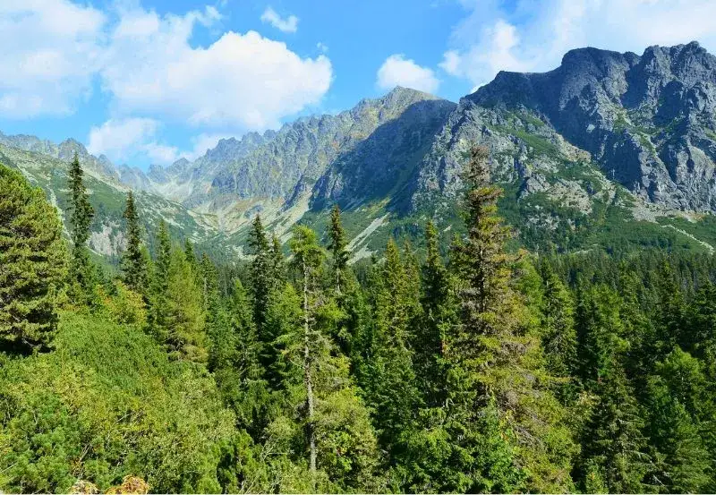 Tatry z Krakowa: Jak i kiedy zobaczyć majestat gór?