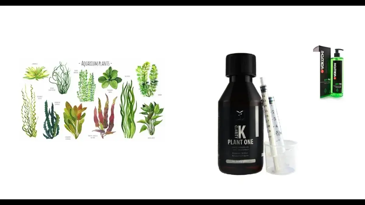 Jakie nawozy do akwarium wybrać, aby uniknąć problemów z roślinami?