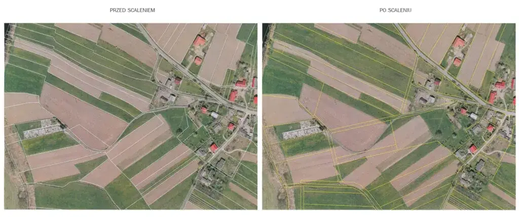 Co to jest scalenie gruntów i jak poprawia efektywność rolnictwa