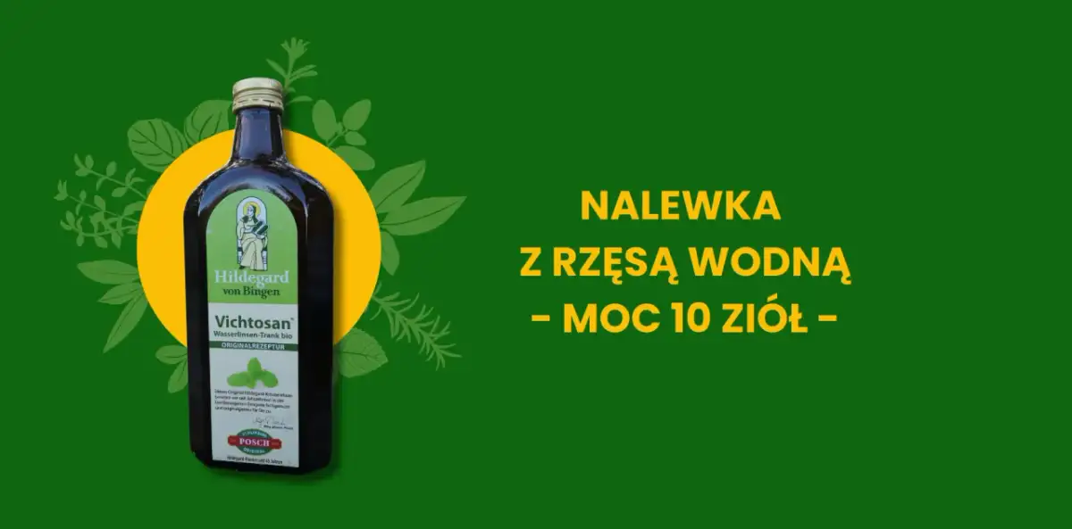 Napój z rzęsy wodnej: superfood przyszłości? Właściwości i bezpieczeństwo.