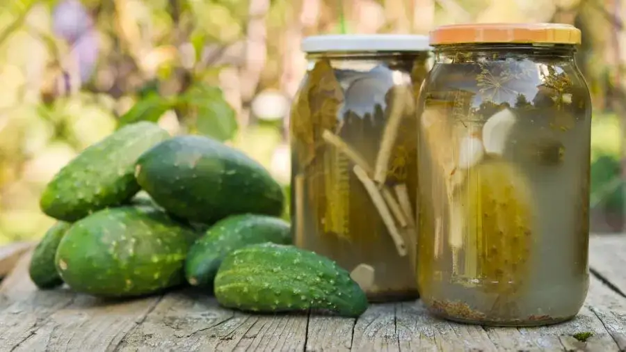 Ogórki kiszone z czym nie jeść, aby uniknąć nieprzyjemnych skutków