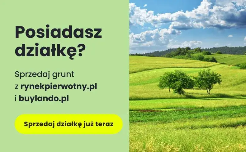 Ile kosztuje działka budowlana na wsi? Ceny, które mogą zaskoczyć