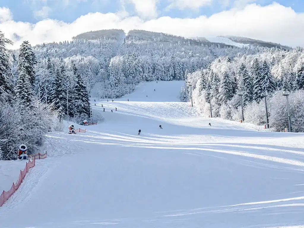 Szczyrk: 40 km tras na 1 karnecie. Twój przewodnik po stokach i cenach