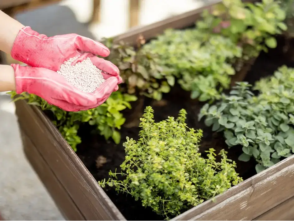 Nawozy mineralne co to - kluczowe informacje o składzie i zastosowaniu