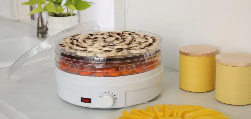 Zużycie prądu w suszarce do grzybów: poznaj realne koszty suszenia