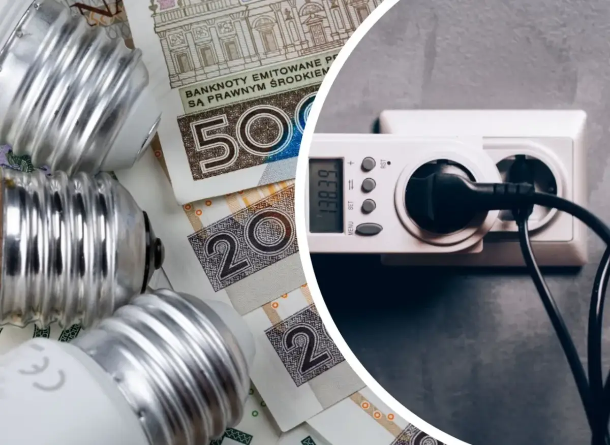 Żarówki i polskie banknoty obok licznika energii elektrycznej. Zastanawiasz się, ile kwh zużywa dom dziennie?