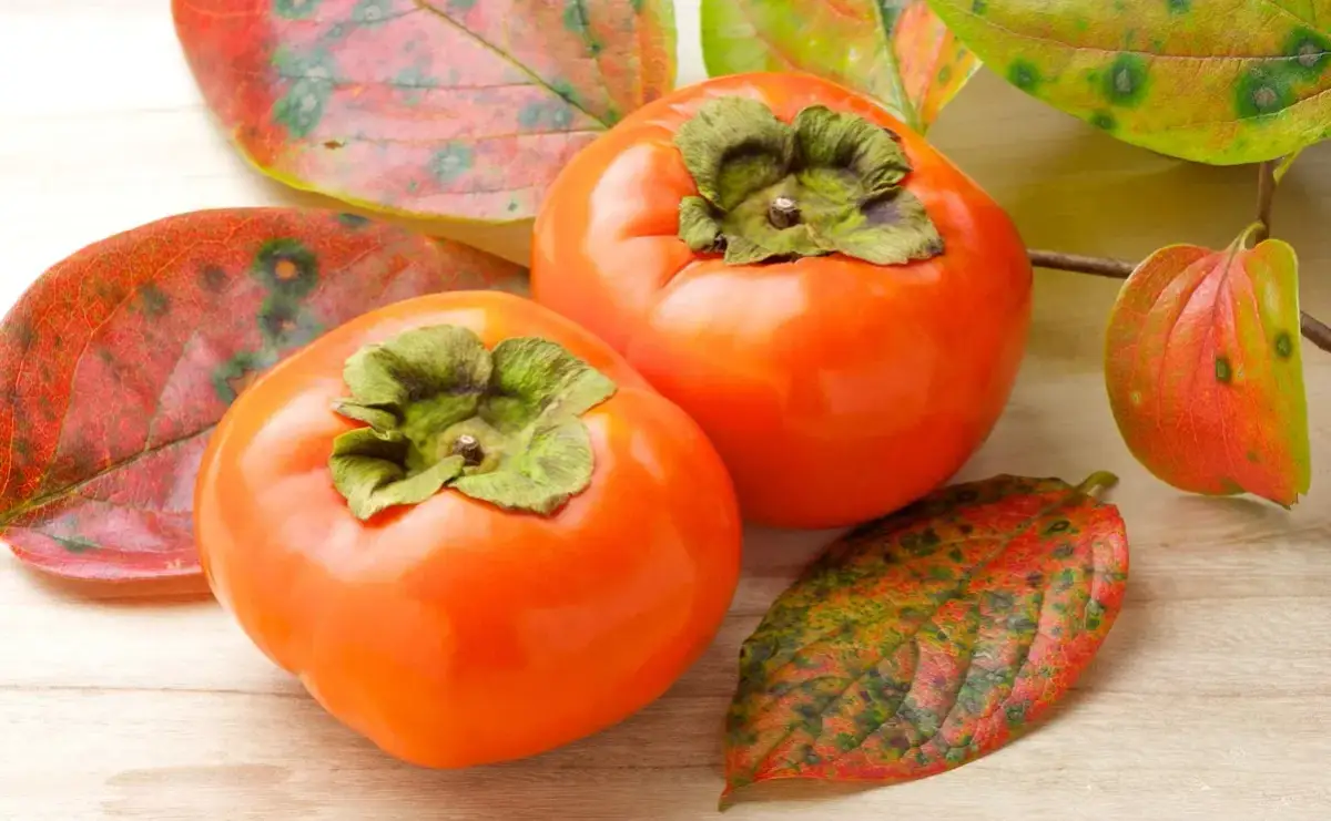 Kiedy jest sezon na kaki? Odkryj najlepszy czas na zakupy owoców