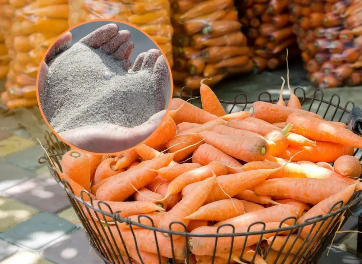 Jak przechowywać marchew w lodówce? Chrupiąca przez tygodnie!