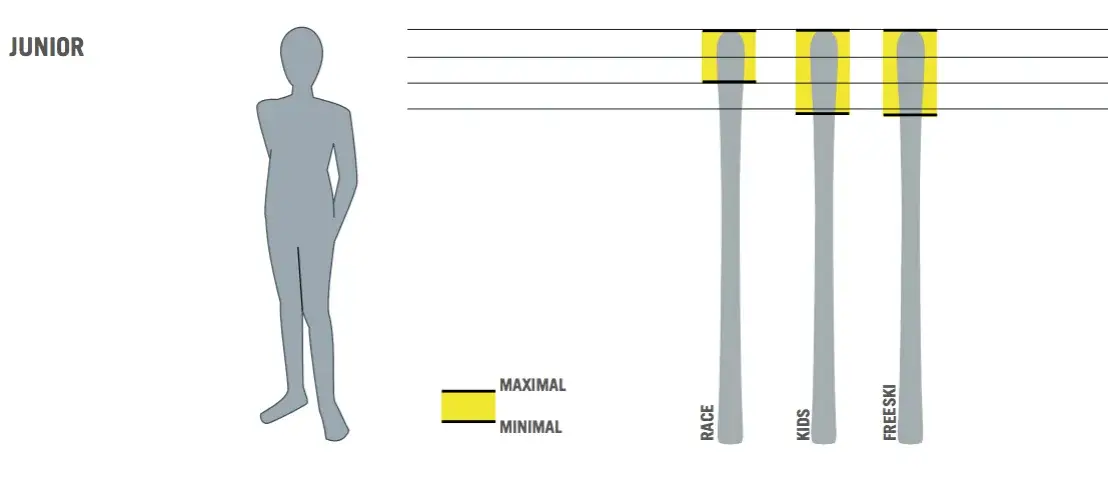 Jak dobrać długość nart slalomowych do swojego wzrostu i wagi