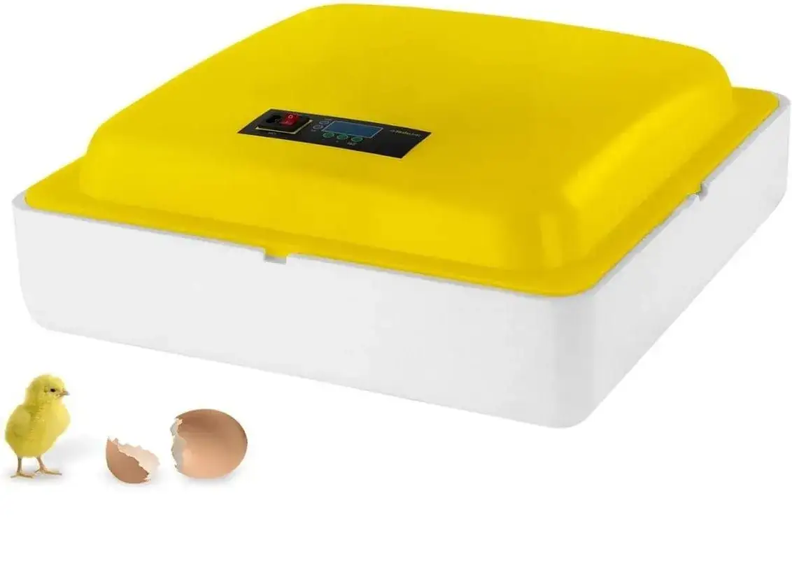 Ile prądu zużywa inkubator? Sprawdź, jak zaoszczędzić na energii