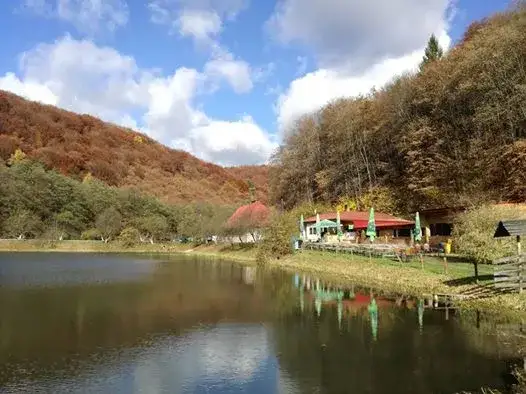 Łowisko rekreacyjne Przemków – idealne miejsce na wędkarskie przygody