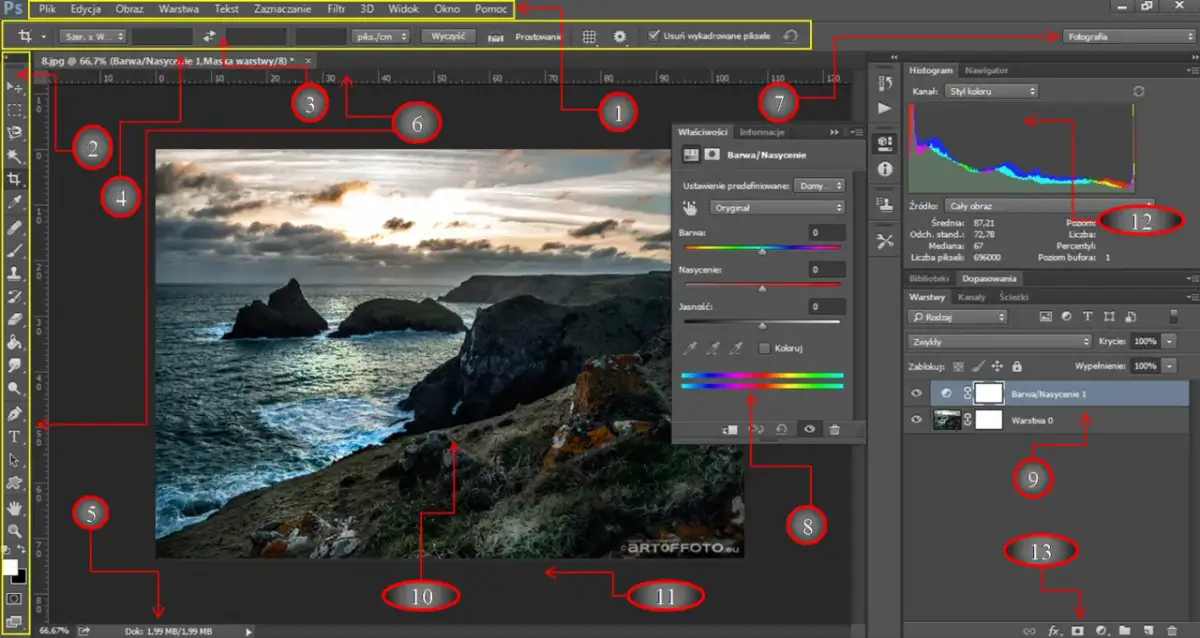 Photoshop: Co to jest? Zrozum program i wybierz najlepsze narzędzie