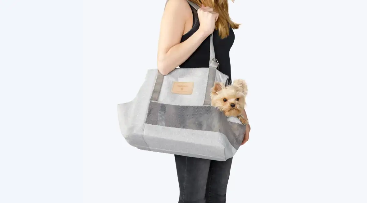 Jak uszyć torbę transportową dla psa? Kompletny poradnik.