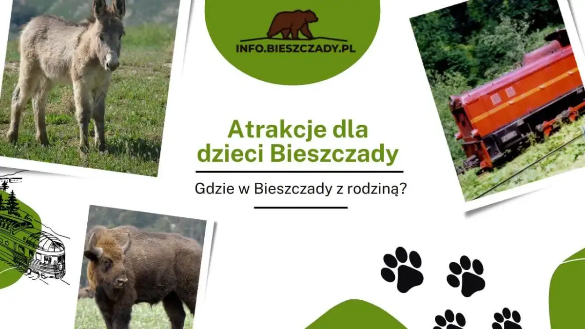 Bieszczady gdzie warto pojechać z dzieckiem – odkryj najlepsze atrakcje