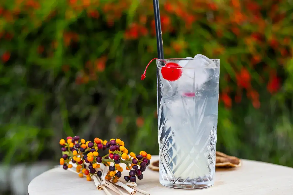 Gin Collins: La Ricetta Perfetta e i Segreti per un Drink da Bar