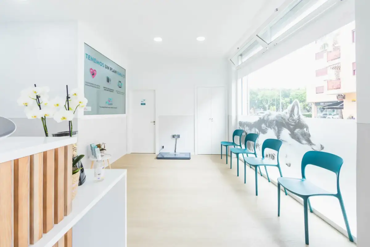 Clínica veterinaria Los Cuartos: servicios, opiniones y ubicación