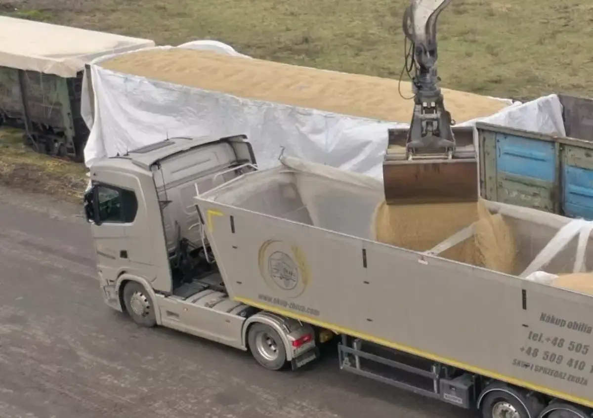 Jakie firmy kupiły zboże z Ukrainy? Oto zaskakujące dane i szczegóły