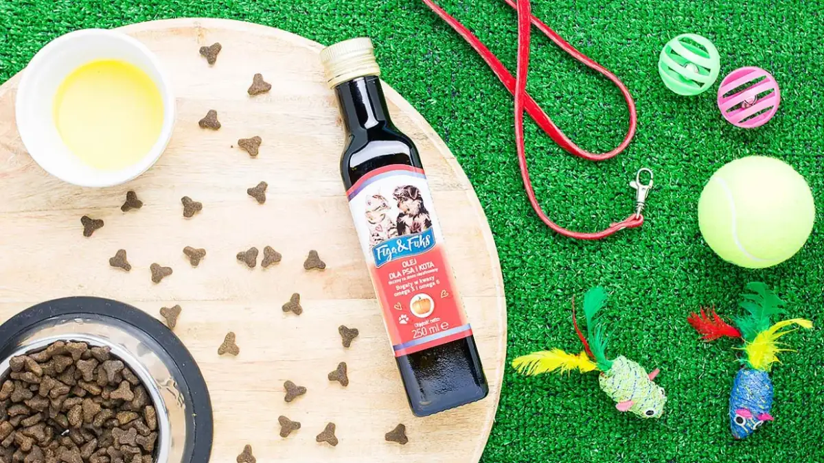 Olej rzepakowy dla psa: czy jest bezpieczny? Dawkowanie i alternatywy