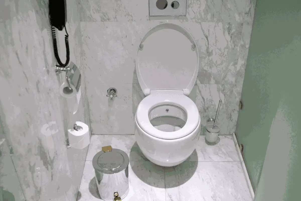 Biała miska WC z otwartą klapą, obok kosz na śmieci i szczotka. W tle uchwyt na papier toaletowy i telefon.