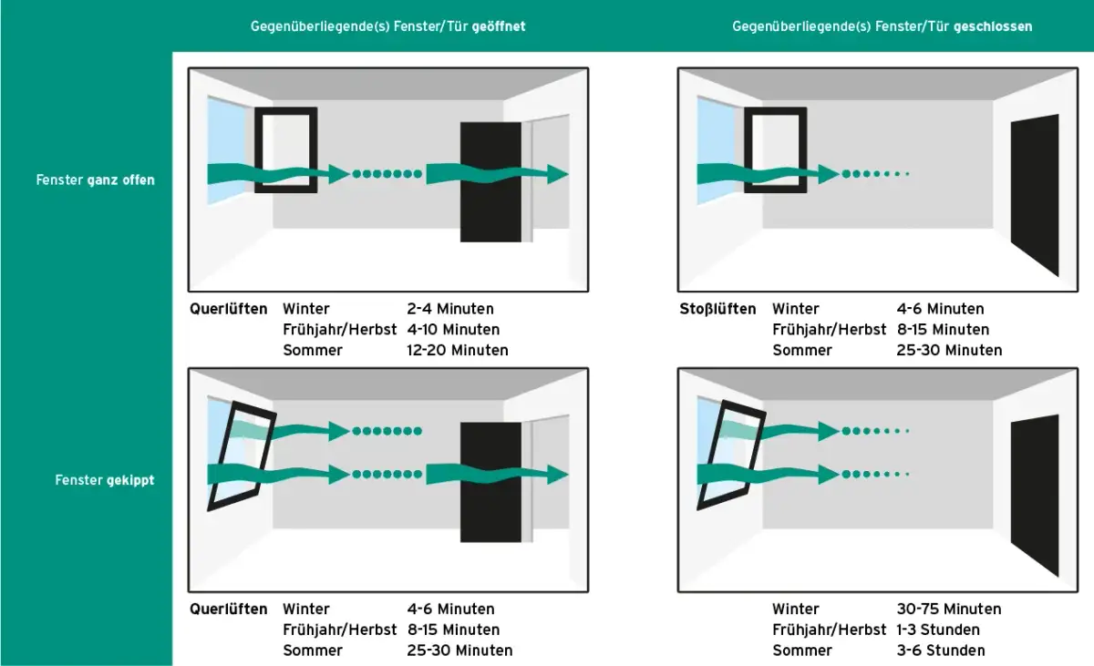 Keller im Sommer richtig lüften: So vermeiden Sie Schimmelbildung