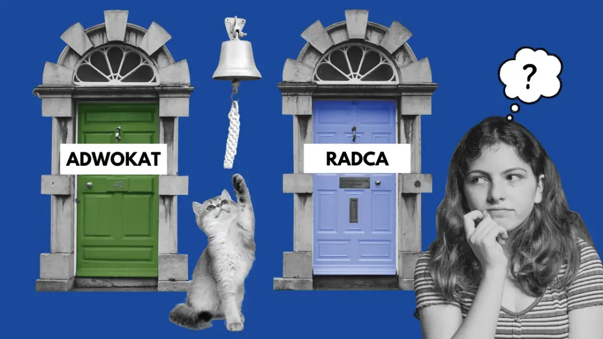 Radca prawny vs Adwokat: Kluczowe różnice i kiedy wybrać którego?