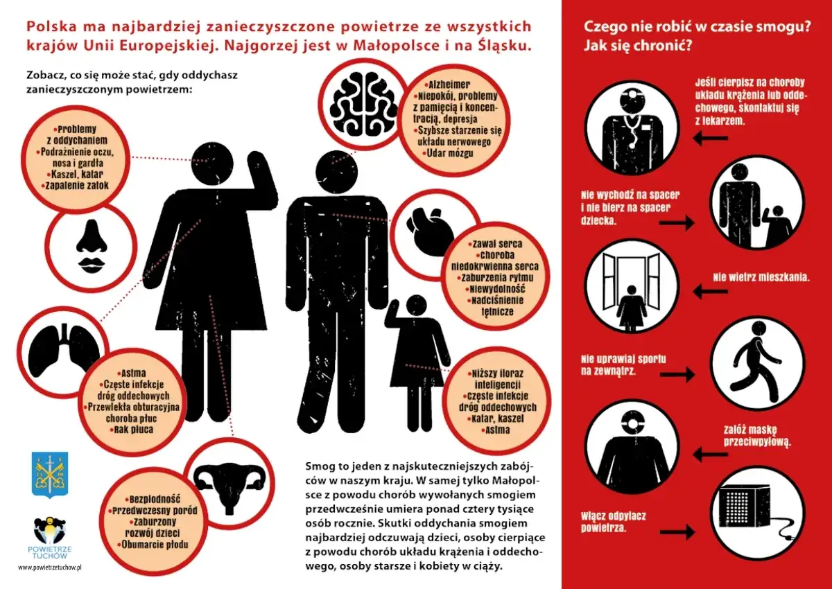 Smog co robic? Infografika pokazuje skutki zanieczyszczonego powietrza dla zdrowia i jak się chronić.