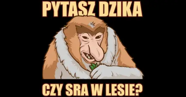 Śmieszna bluza pytasz dzika czy sra w lesie – styl i komfort w jednym