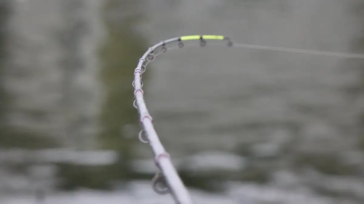 Wędkarstwo w styczniu: Co łowić teraz? Ryby, techniki, PZW