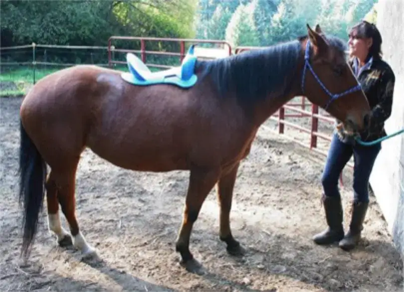 Jak zmierzyć rozstaw łęku w siodle, aby uniknąć niewłaściwego dopasowania
