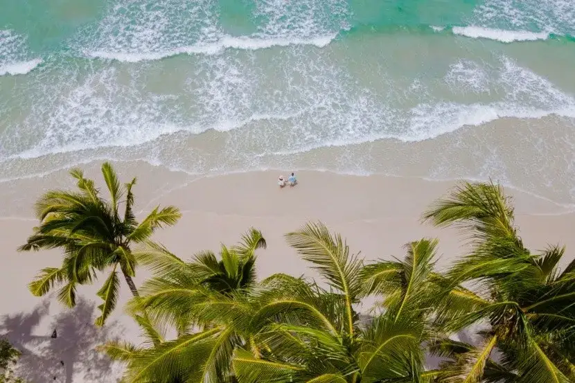 Kiedy jest sezon na kokosy? Sprawdź, kiedy są najtańsze i świeże