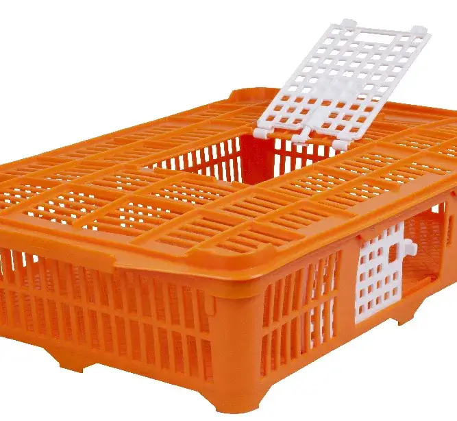 Najlepsze transportery dla drobiu – zapewnij bezpieczeństwo ptakom