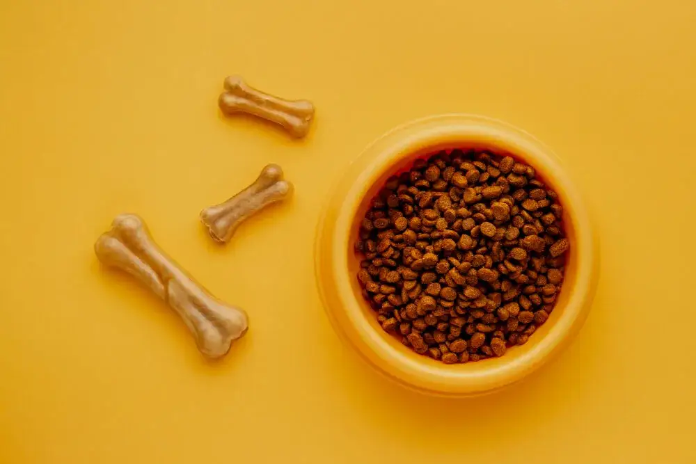 Purina dla psa: Dobra karma? Zależy! Sprawdź, co w misce