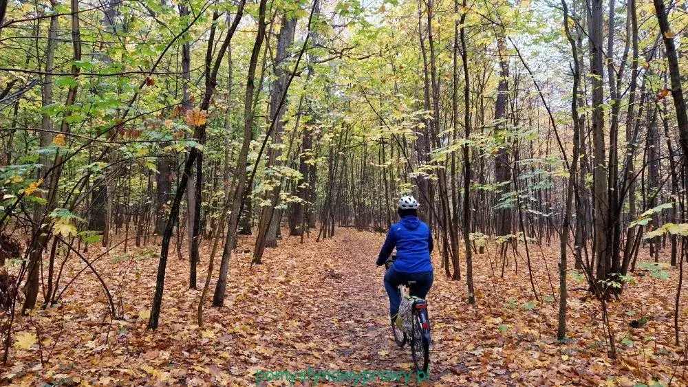 Odkryj Lasek Bielański: Atrakcje, szlaki, klasztor Kamedułów