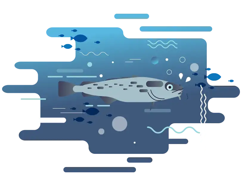 Jakie ryby są w Bałtyku? Odkryj najważniejsze gatunki i ich znaczenie